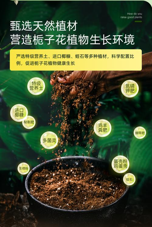 栀子花用什么土比较好，栀子花用什么土来种植？
