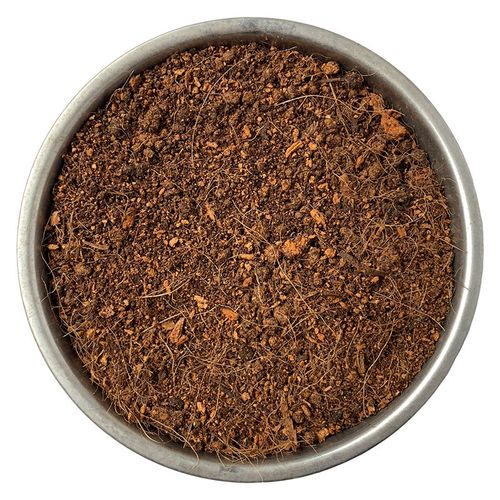 栀子花用什么土比较好，栀子花用什么土来种植？-第3张图片-优品飞百科