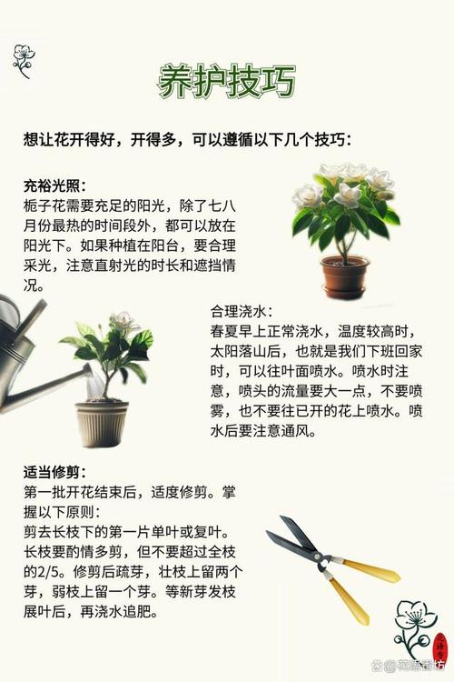 栀子花用什么土比较好，栀子花用什么土来种植？-第4张图片-优品飞百科
