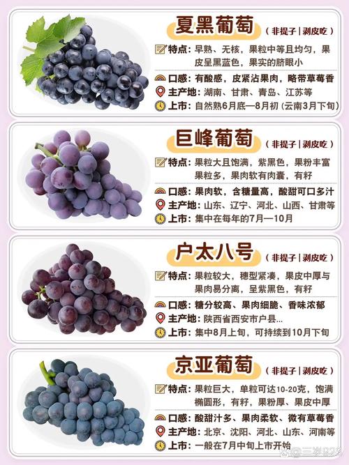 葡萄有哪些品种，青色的葡萄有哪些品种？-第4张图片-优品飞百科