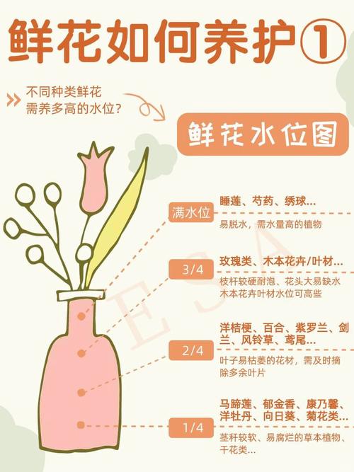 包含怎样在室内养花不死的词条-第6张图片-优品飞百科