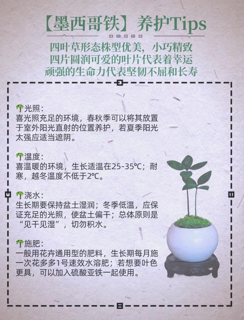 铁树的养殖方法，铁树的养殖方法 小说？-第6张图片-优品飞百科
