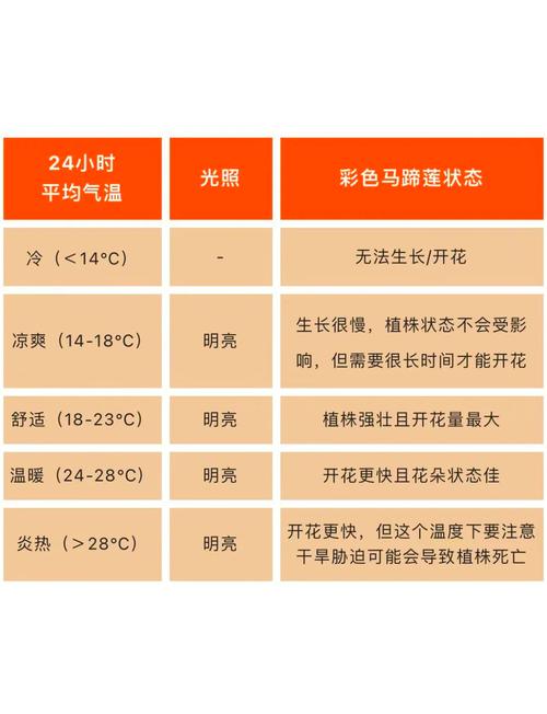 彩色马蹄莲怎么养，彩色马蹄莲的养殖方法和注意事项 盆栽？-第4张图片-优品飞百科