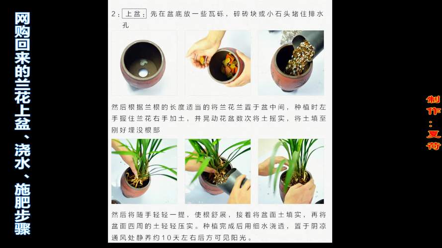 春兰对水分的要求？春兰的浇水和施肥？-第5张图片-优品飞百科