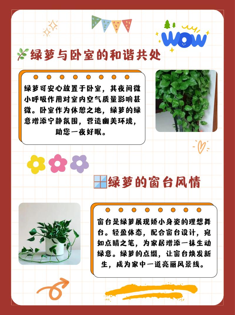绿萝夏天怎么养护，绿箩夏天？-第2张图片-优品飞百科