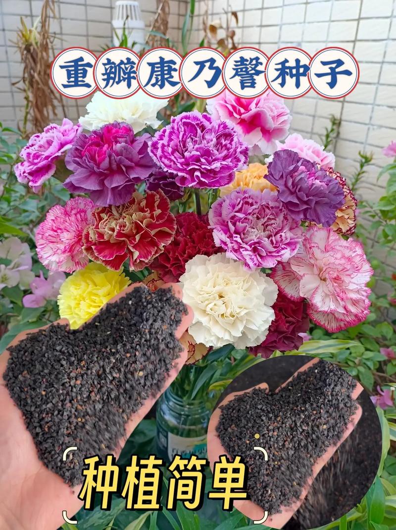 花种子的种植方法，洋桔梗花种子的种植方法-第4张图片-优品飞百科