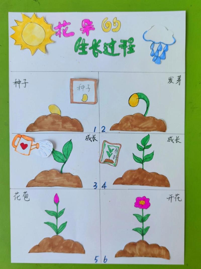 花种子的种植方法，洋桔梗花种子的种植方法-第5张图片-优品飞百科