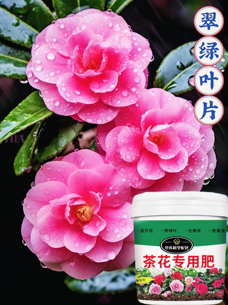 常见的氮肥有哪些，常见的氮肥有哪三类？