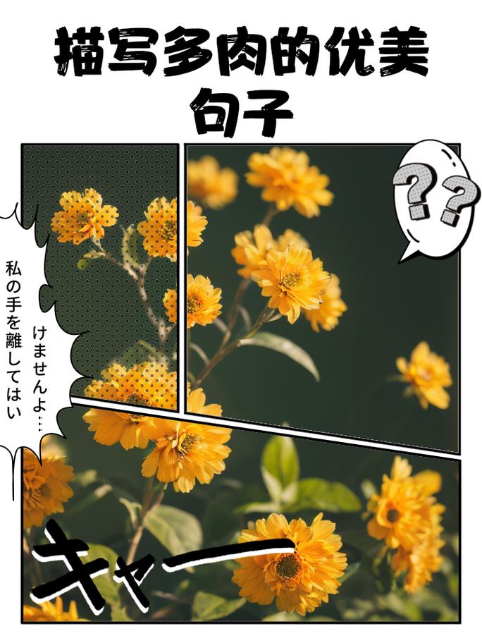 别人的多肉小清新，多肉 小清新-第5张图片-优品飞百科