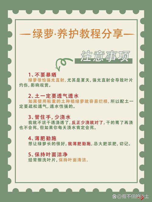 学会这几种绿萝的扦插方法，绿萝的扦插技术-第7张图片-优品飞百科