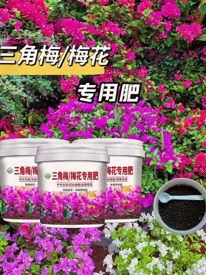 梅花上什么肥料好，梅花盆栽施什么肥好？