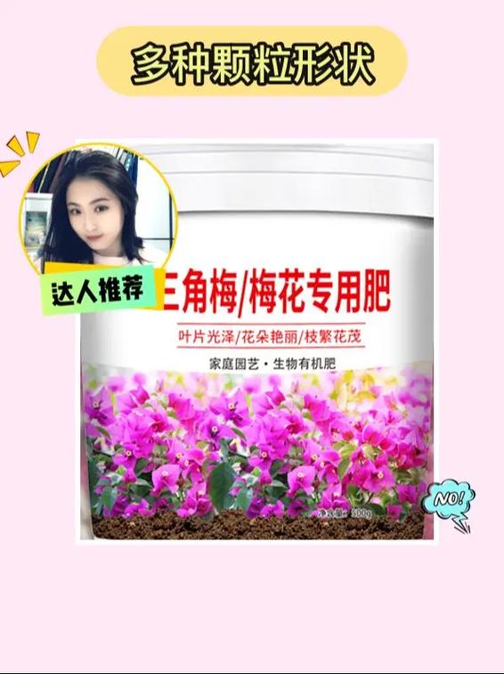 梅花上什么肥料好，梅花盆栽施什么肥好？-第6张图片-优品飞百科