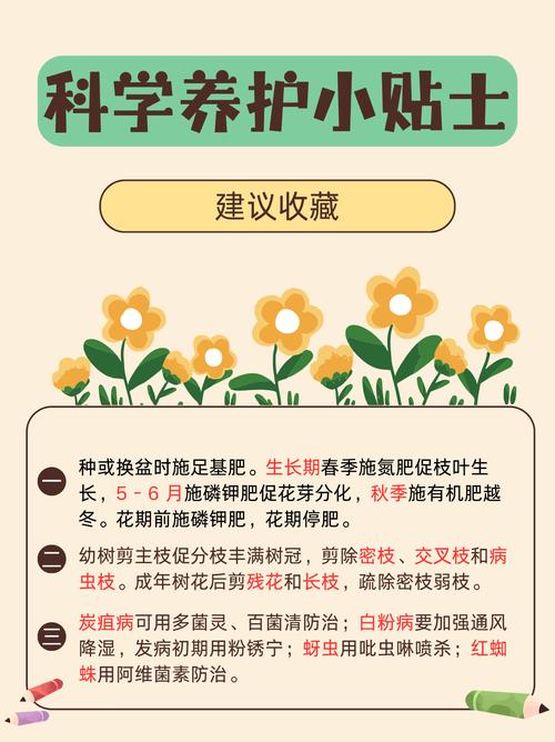 梅花上什么肥料好，梅花盆栽施什么肥好？-第7张图片-优品飞百科