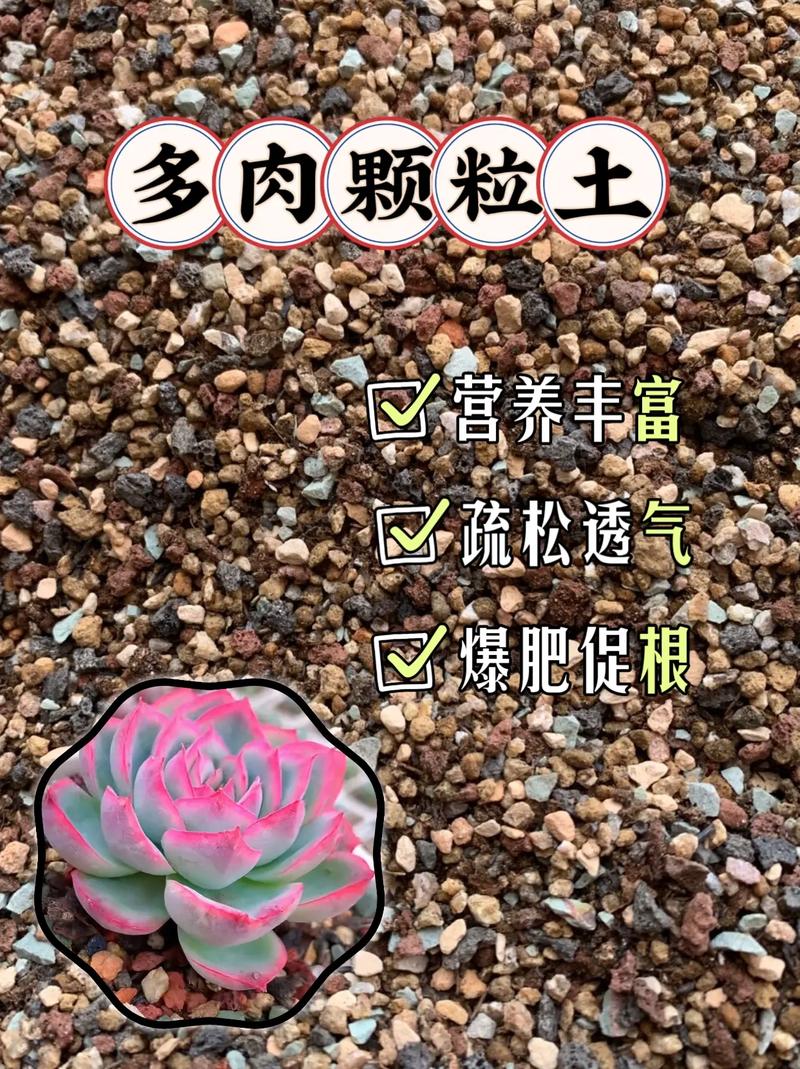 多肉盆底撒点小东西,多肉盆底下垫泡沫好吗-第4张图片-优品飞百科 多肉盆底撒点小东西,多肉盆底下垫泡沫好吗-第4张图片-优品飞百科