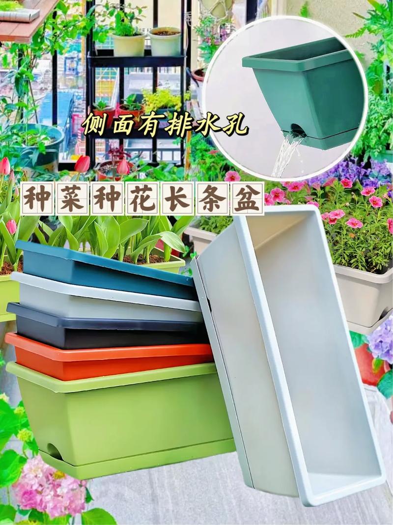 塑料花盆养花好吗，塑料花盆养花注意事项？-第5张图片-优品飞百科