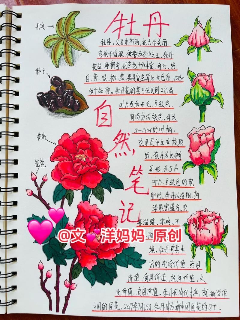 如何使牡丹在冬季开花，牡丹花冬天怎么浇水？-第7张图片-优品飞百科