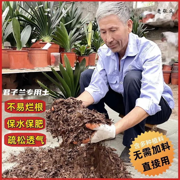 如何自制君子兰花土，怎么自制君子兰花土？-第4张图片-优品飞百科