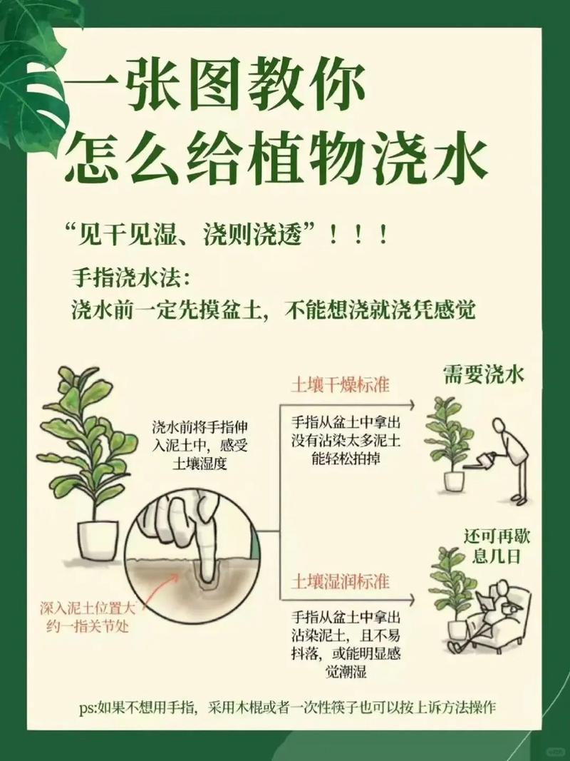 养花浇水施肥技巧，养花浇水施肥技巧图解-第5张图片-优品飞百科