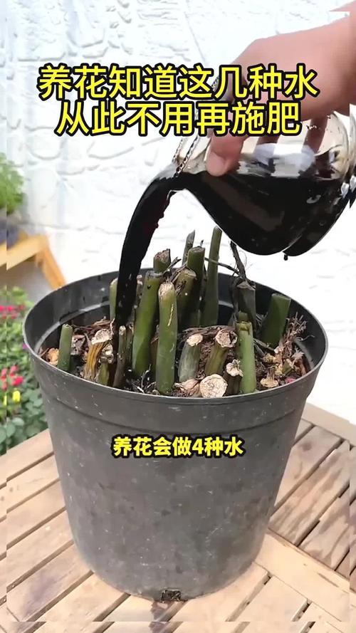 养花浇水施肥技巧，养花浇水施肥技巧图解-第7张图片-优品飞百科