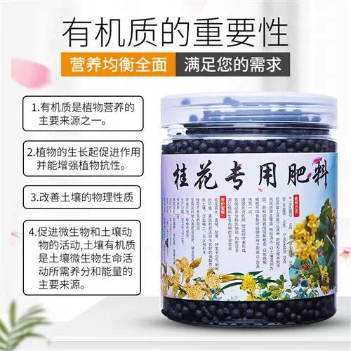 怎样给盆栽桂花施肥？盆栽桂花施肥用什么肥料？-第6张图片-优品飞百科