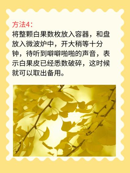 白果如何去皮和臭味，白果如何去外皮？-第3张图片-优品飞百科