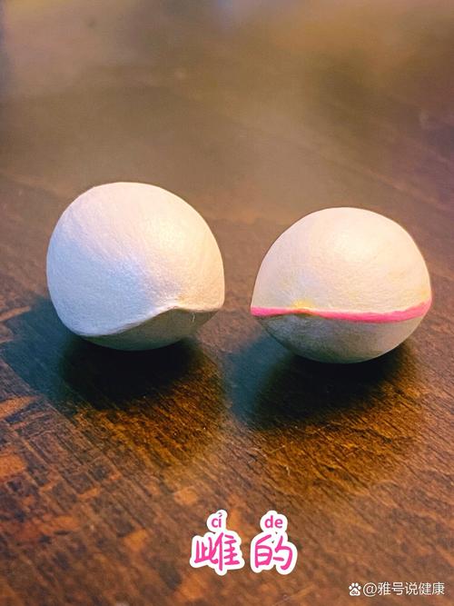 白果如何去皮和臭味，白果如何去外皮？-第5张图片-优品飞百科