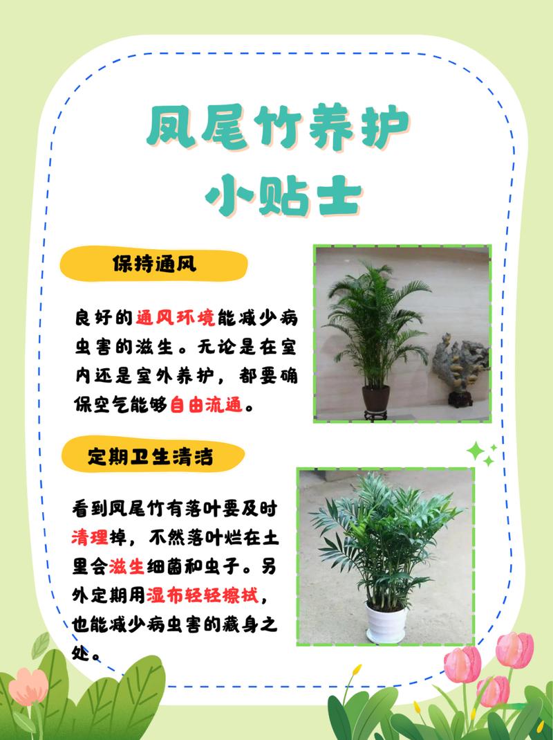 凤尾竹怎么浇水？凤尾竹怎么浇水施肥？-第3张图片-优品飞百科