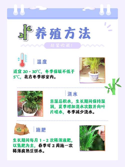 凤尾竹怎么浇水？凤尾竹怎么浇水施肥？-第5张图片-优品飞百科