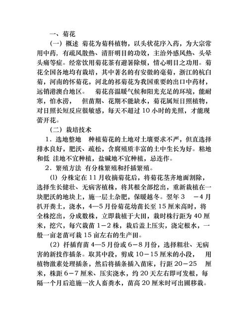 菊花的养殖方法和注意事项，菊花的养殖方法和注意事项视频？-第2张图片-优品飞百科