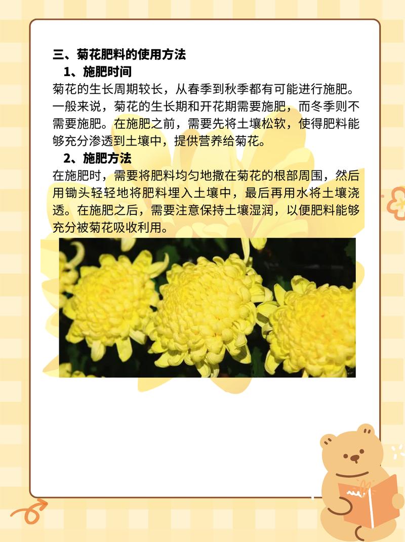 菊花的养殖方法和注意事项，菊花的养殖方法和注意事项视频？-第6张图片-优品飞百科