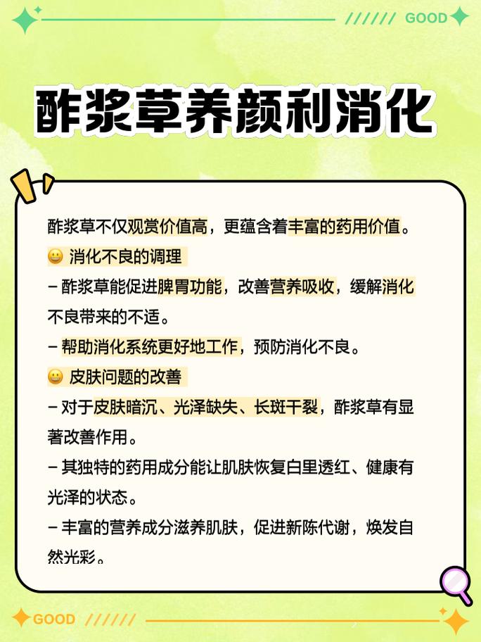 酢浆草夏天怎么养？酢浆草夏天怎么养护？-第2张图片-优品飞百科