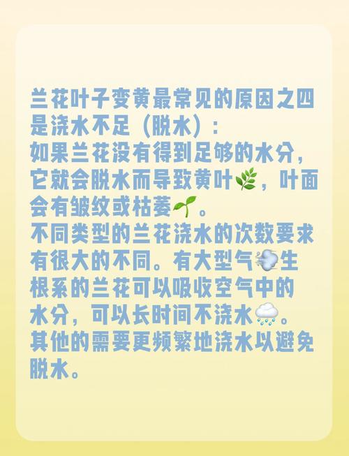 如何判断兰花缺水缺肥，兰花缺水有哪些症状视频-第6张图片-优品飞百科