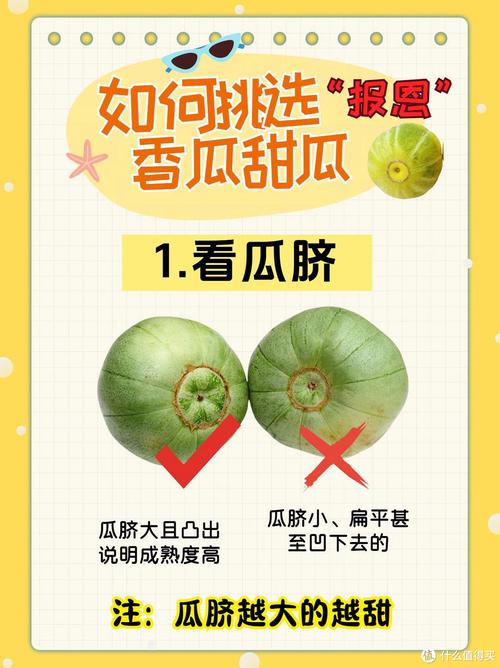 香瓜的养殖方法，香瓜怎么养殖-第4张图片-优品飞百科