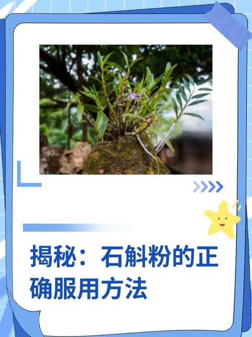 鼓槌石斛怎么繁殖，鼓槌石斛如何扦插才繁殖的好？-第6张图片-优品飞百科