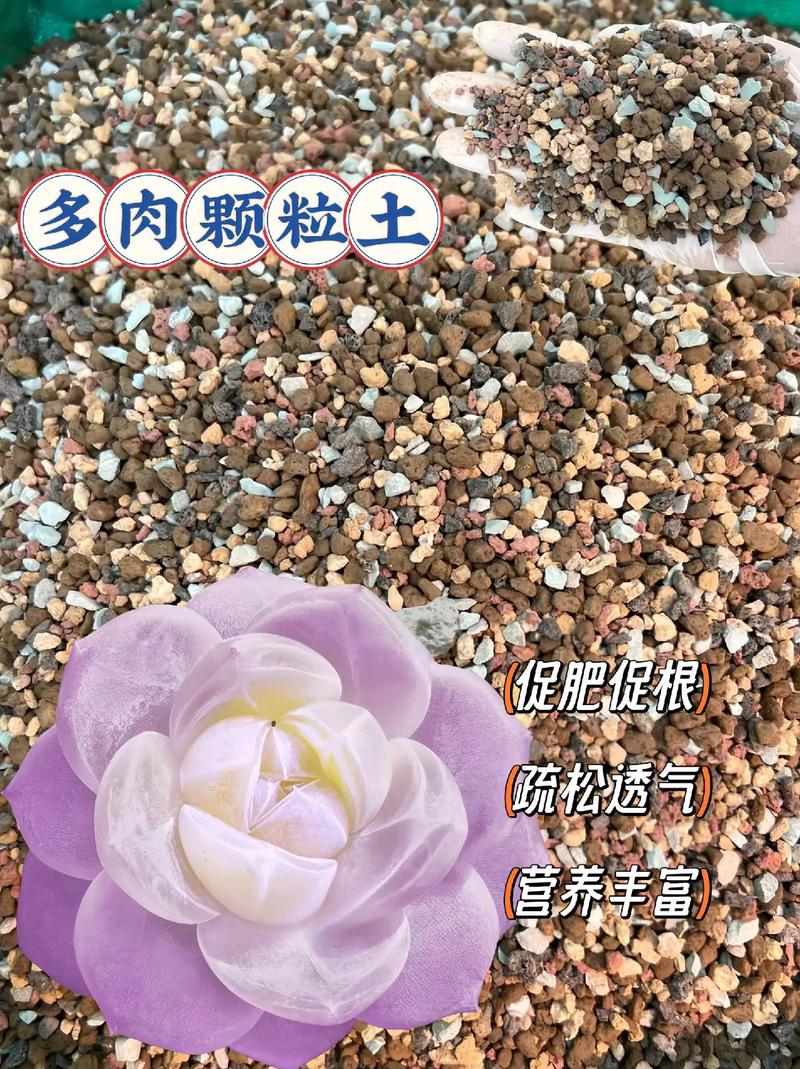 养花就选这6种颗粒，养花颗粒植料