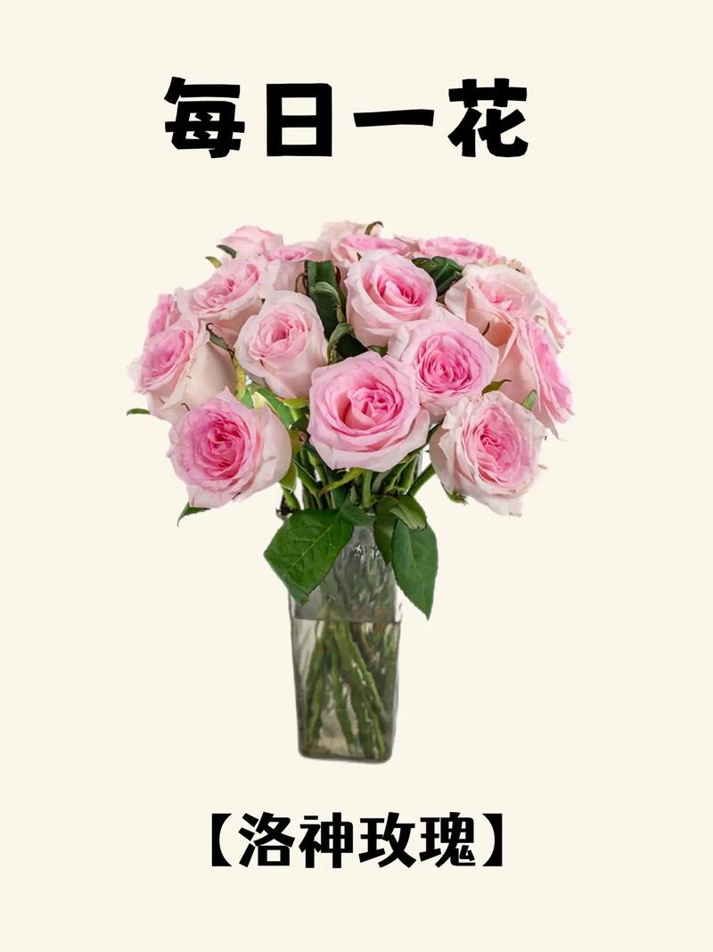 洛神花春天怎么养，洛神花栽培技术-第5张图片-优品飞百科