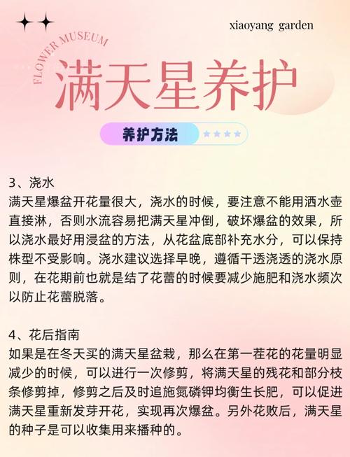 六月雪种子怎么种，六月雪种子怎么种植方法-第3张图片-优品飞百科