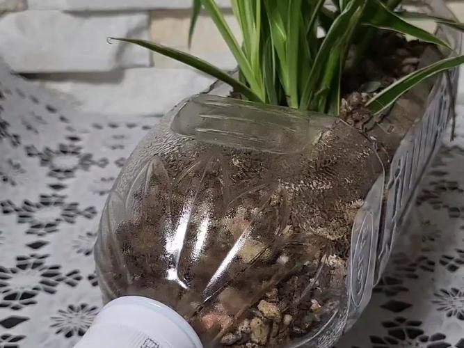 酒瓶毛巾变花盆，毛巾拧瓶盖的原理-第3张图片-优品飞百科