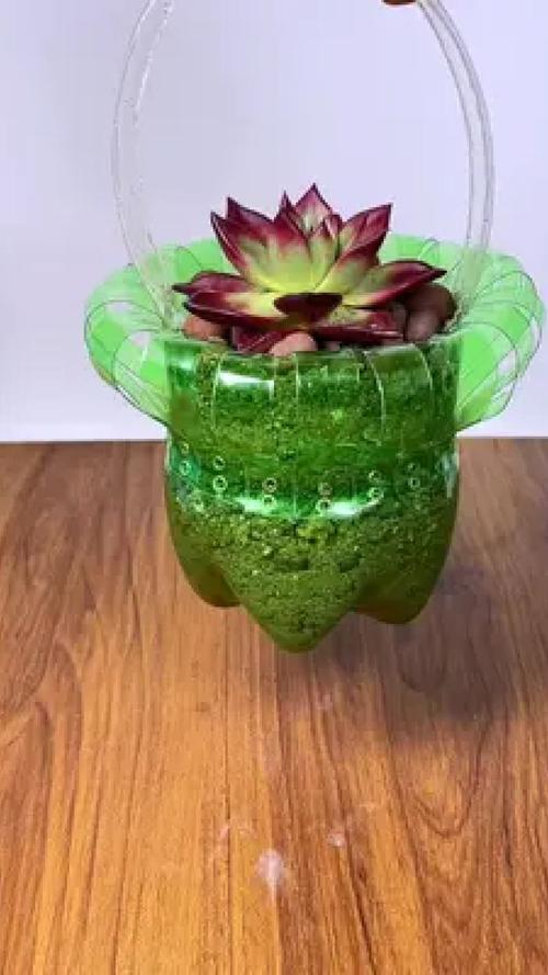 酒瓶毛巾变花盆，毛巾拧瓶盖的原理-第6张图片-优品飞百科