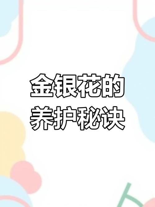 金银花怎么繁殖？金银花怎么繁殖后代？-第7张图片-优品飞百科
