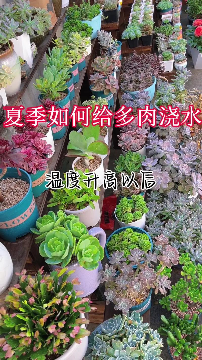 亚蜡木修剪方法？亚拉腊山木结构？