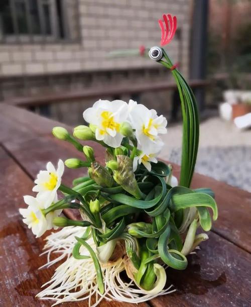 水仙为什么要雕刻，水仙雕刻造型的目的和原理-第3张图片-优品飞百科
