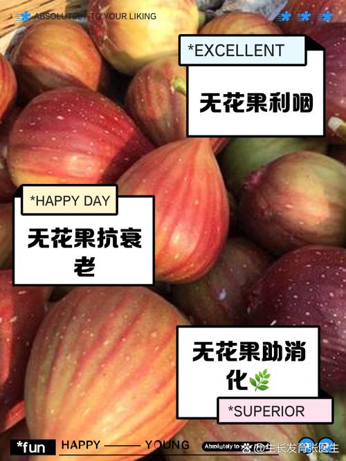 无花果套瓶里，无花果罐装？-第2张图片-优品飞百科