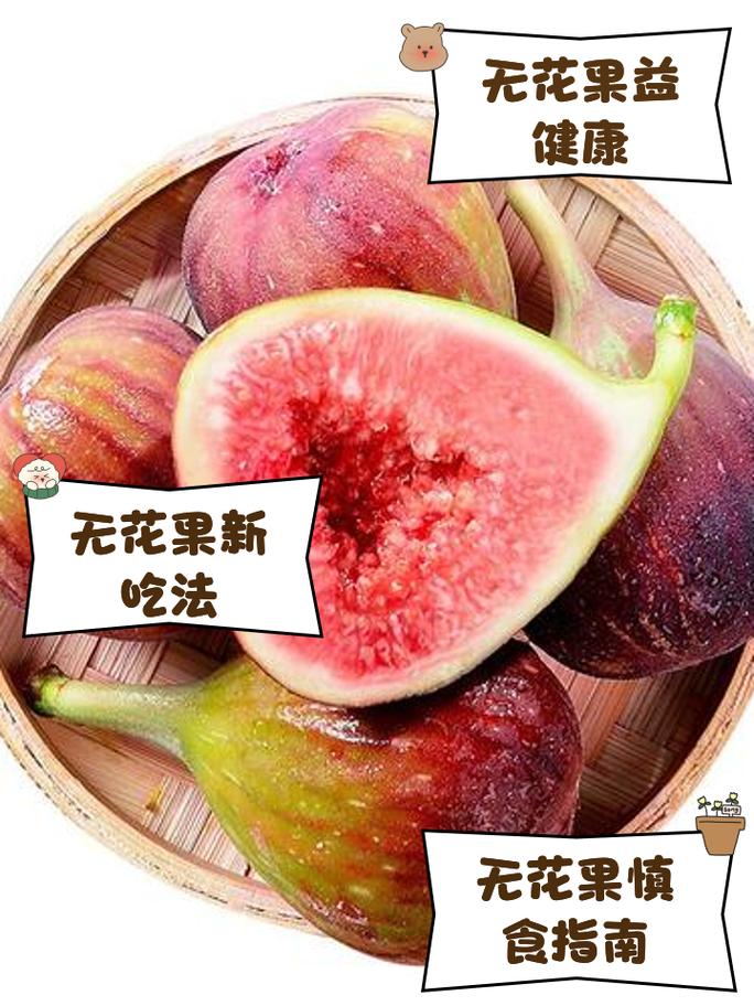 无花果套瓶里，无花果罐装？-第3张图片-优品飞百科