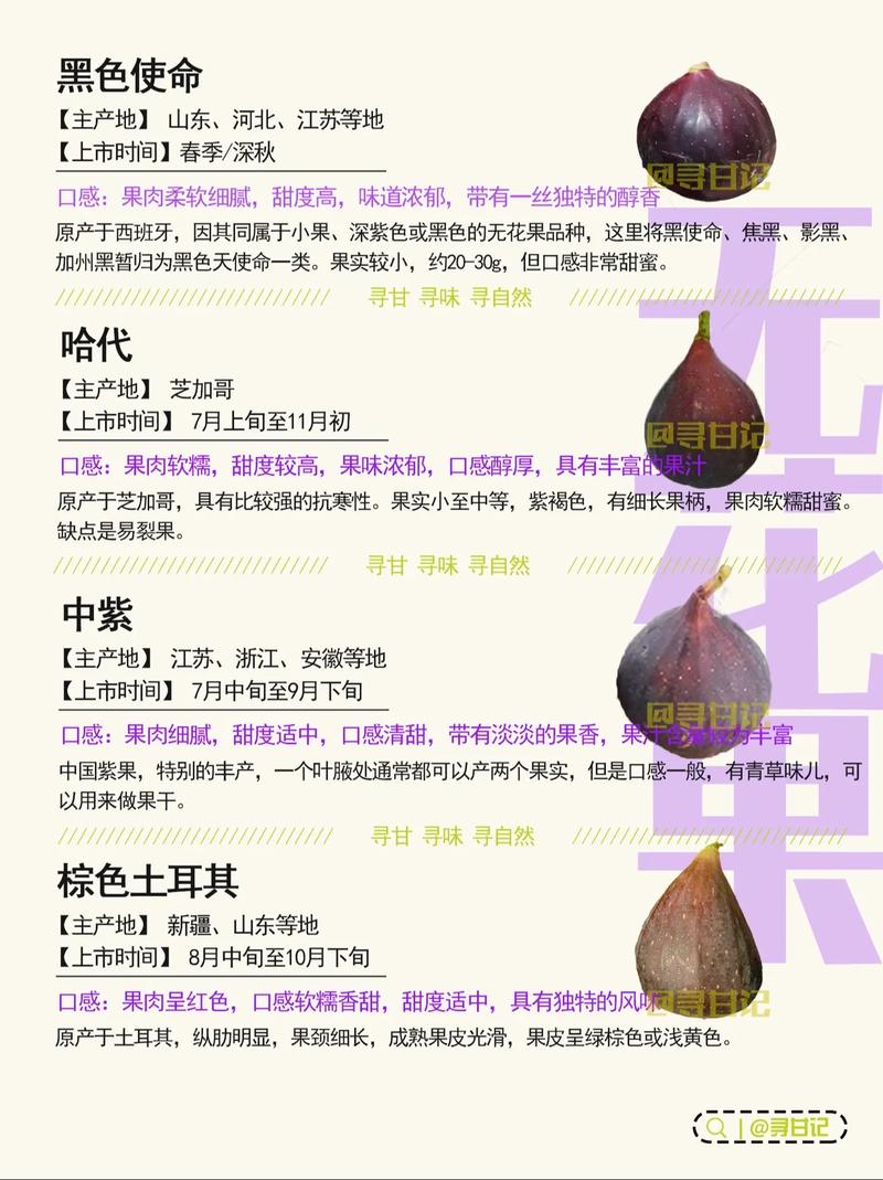 无花果套瓶里，无花果罐装？-第4张图片-优品飞百科