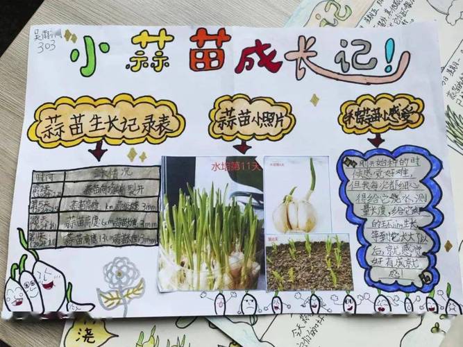 在家怎么种蒜黄,种蒜怎么种-第6张图片-优品飞百科 在家怎么种蒜黄,种蒜怎么种-第6张图片-优品飞百科