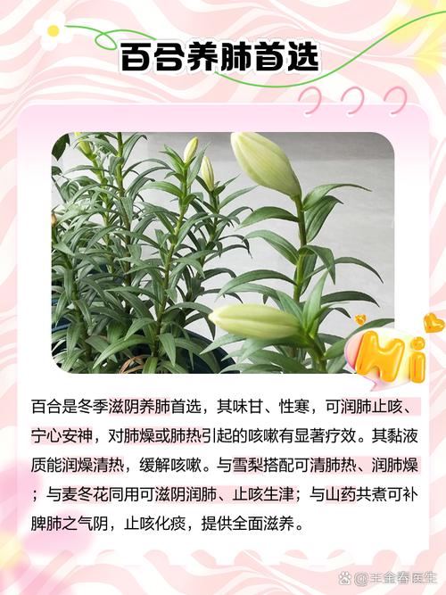 百合珠芽繁殖方法？百合珠芽多久可以开花？-第5张图片-优品飞百科