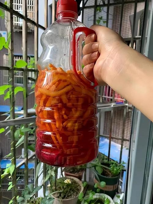 这几样好东西可是养花“宝贝”的简单介绍-第3张图片-优品飞百科