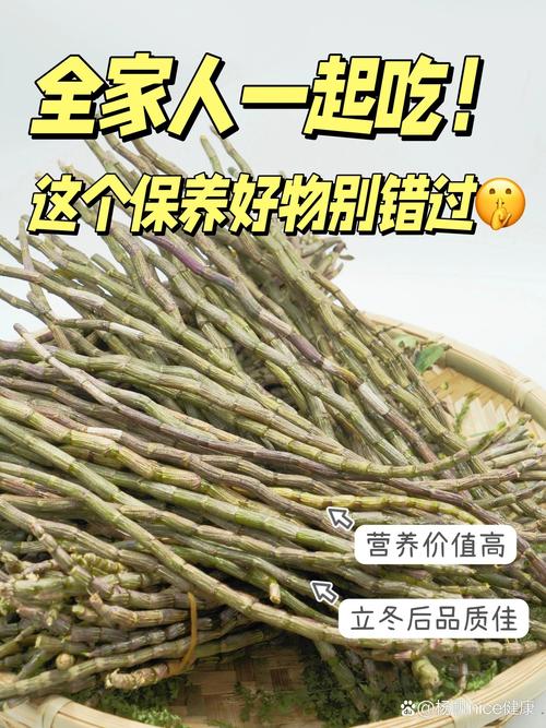 养石斛是室内好或室外好？石斛能养在室内吗对人有害吗？-第2张图片-优品飞百科