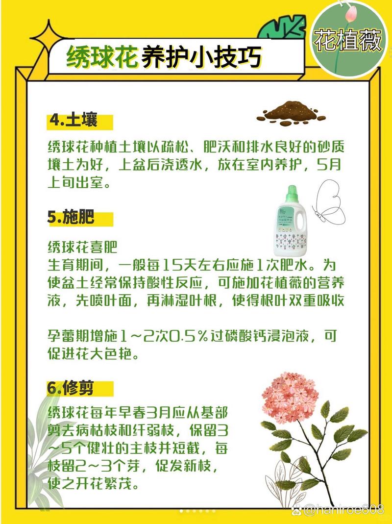 绣球花秋天怎么养,绣球花秋天怎么施肥-第5张图片-优品飞百科 绣球花秋天怎么养,绣球花秋天怎么施肥-第5张图片-优品飞百科